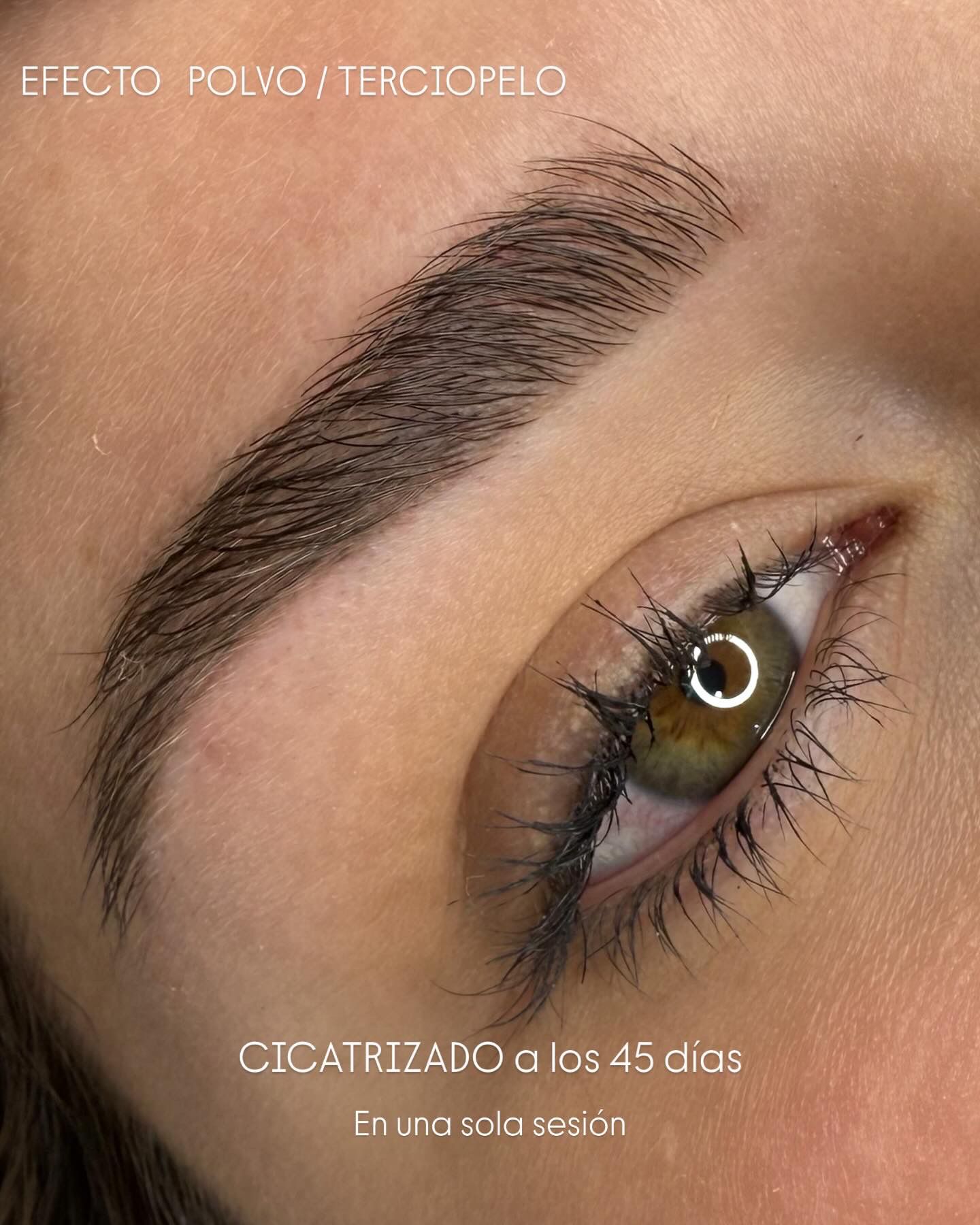 WhatsApp Image 2025-06-28 at 10.51.57 (5)